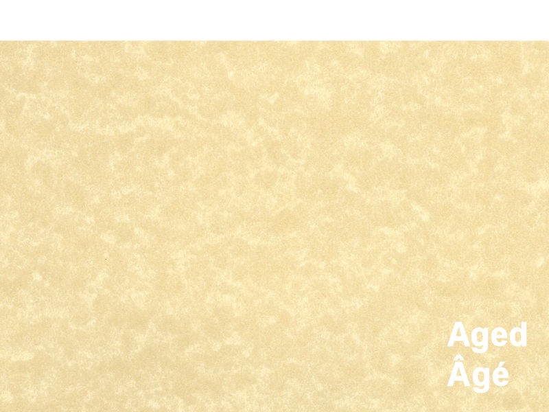 French Parchtone - 118gsm - 279mm x 432mm French Parchtone - 118gsm - 279mm x 432mm