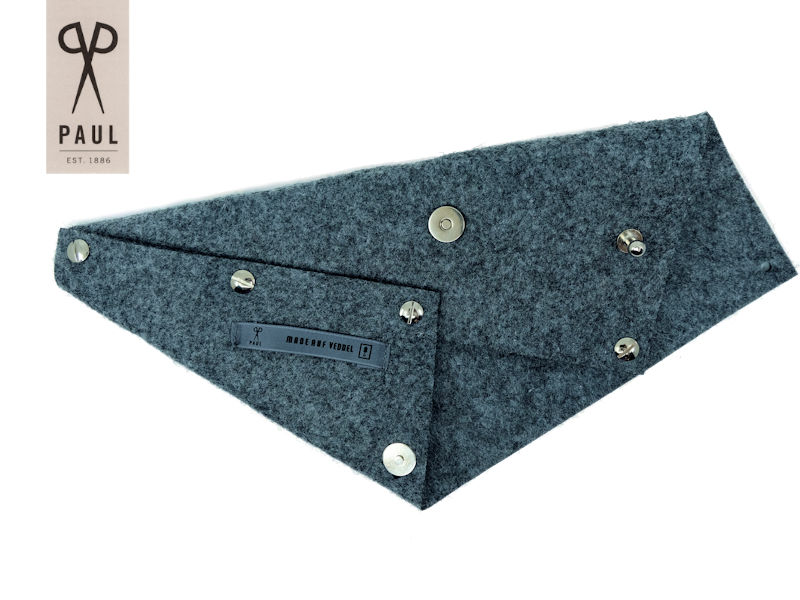 Paul® Case for 2 Scissors